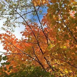 Meet your Posher, Kathryn